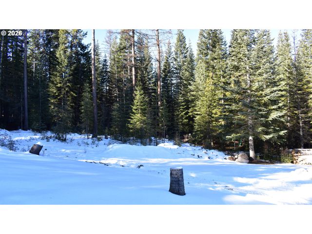 60839 LIBERTY Rd, Joseph, OR 97846