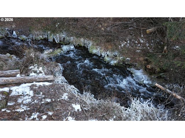 60839 LIBERTY Rd, Joseph, OR 97846