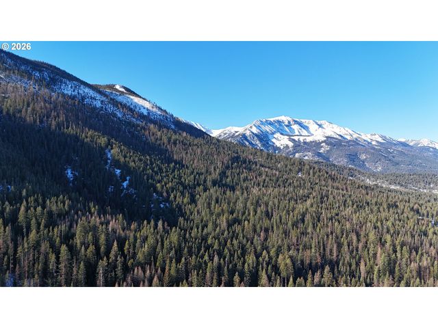 60839 LIBERTY Rd, Joseph, OR 97846