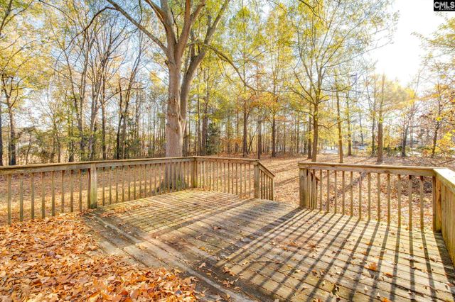 9 Tawny Branch Court, Columbia, SC 29212