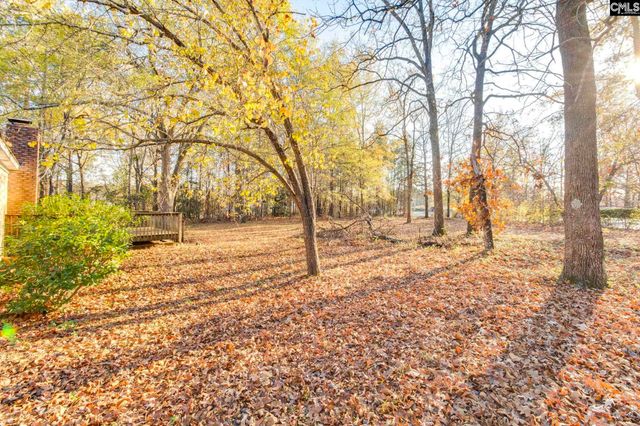 9 Tawny Branch Court, Columbia, SC 29212