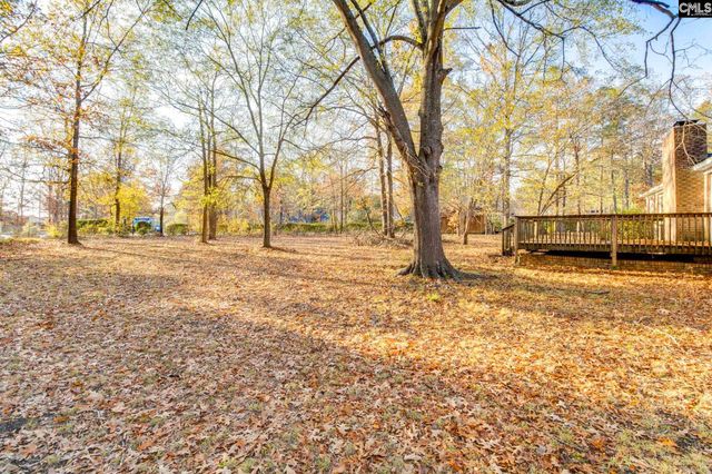 9 Tawny Branch Court, Columbia, SC 29212