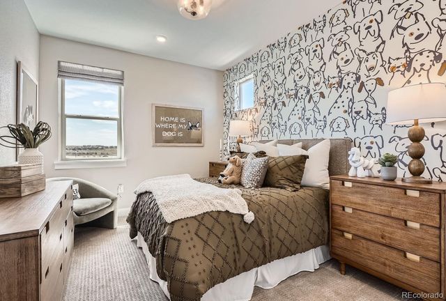 13401 Finnhorse Street, Parker, CO 80134