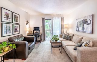 941 Calle Mejia 413, Santa Fe, NM 87501