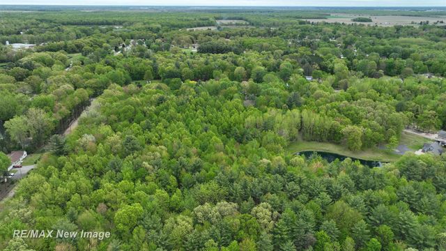 12000 W Townline Road, Saint Charles, MI 48655