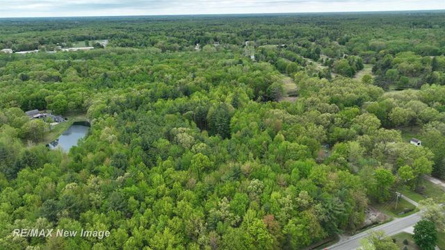 12000 W Townline Road, Saint Charles, MI 48655