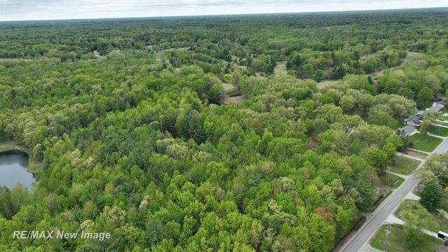 12000 W Townline Road, Saint Charles, MI 48655