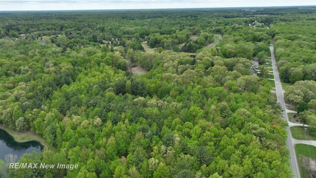 12000 W Townline Road, Saint Charles, MI 48655