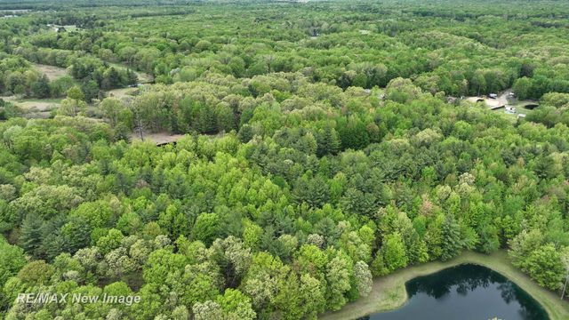 12000 W Townline Road, Saint Charles, MI 48655