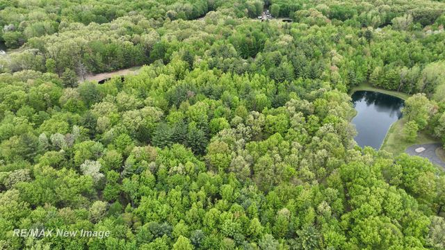 12000 W Townline Road, Saint Charles, MI 48655