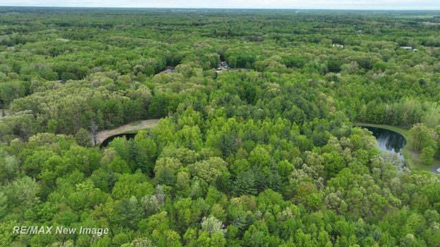 12000 W Townline Road, Saint Charles, MI 48655