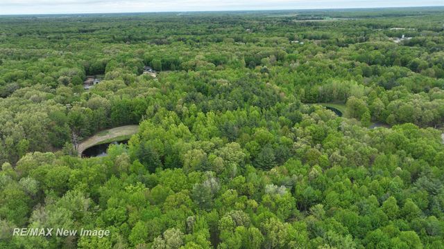 12000 W Townline Road, Saint Charles, MI 48655