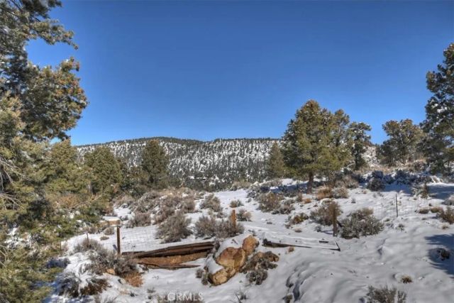 46727 Minnow, Big Bear City, CA 92314