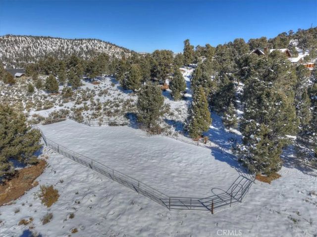 46727 Minnow, Big Bear City, CA 92314