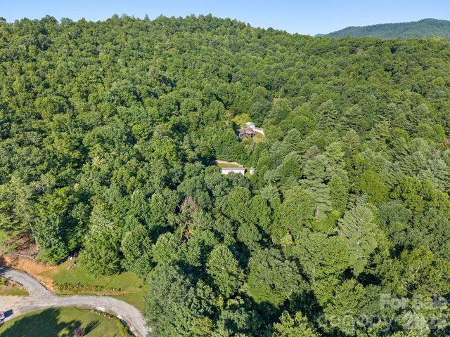 125 Ice Hollow Road, Zirconia, NC 28790