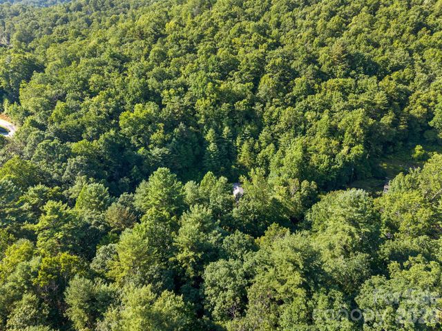 125 Ice Hollow Road, Zirconia, NC 28790