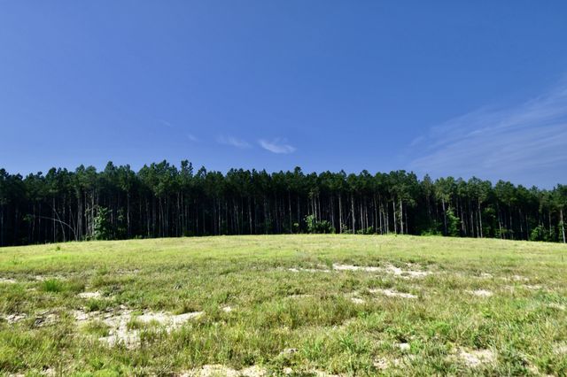0 Allens Creek Road, Hohenwald, TN 38462