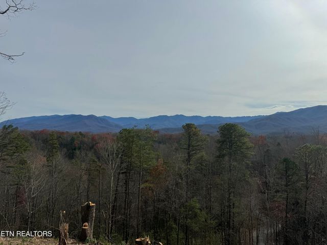 000 Powdermill Rd, Gatlinburg, TN 37738