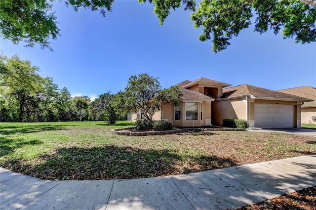10002 OASIS PALM DRIVE, Tampa, FL 33615