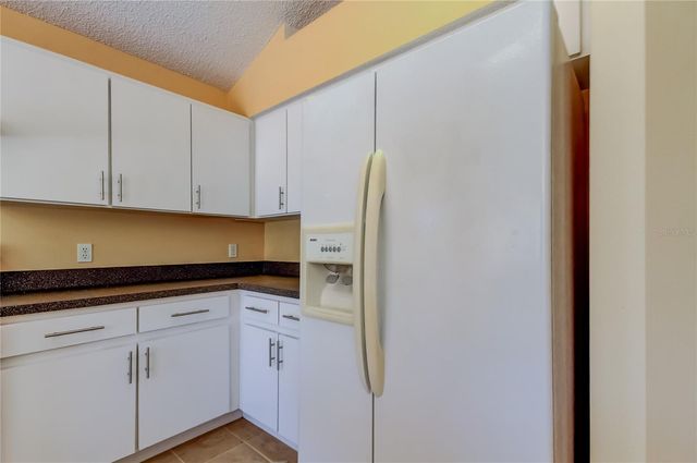 10002 OASIS PALM DRIVE, Tampa, FL 33615