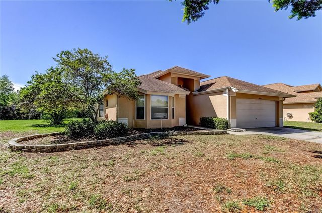 10002 OASIS PALM DRIVE, Tampa, FL 33615