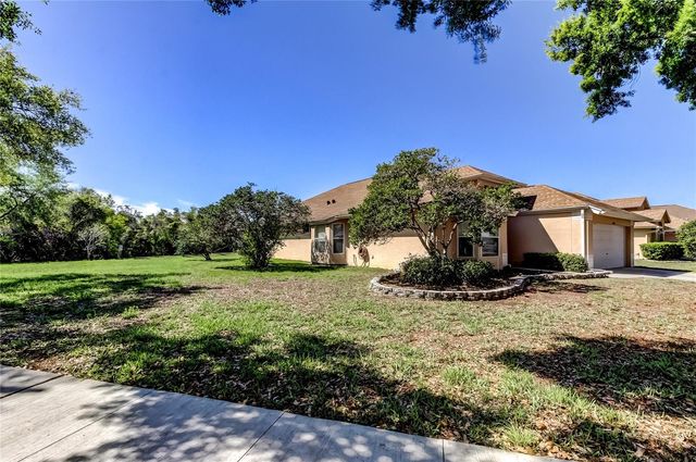 10002 OASIS PALM DRIVE, Tampa, FL 33615