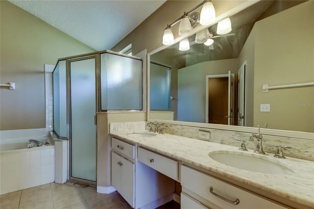 10002 OASIS PALM DRIVE, Tampa, FL 33615