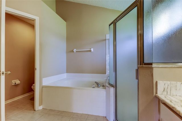 10002 OASIS PALM DRIVE, Tampa, FL 33615