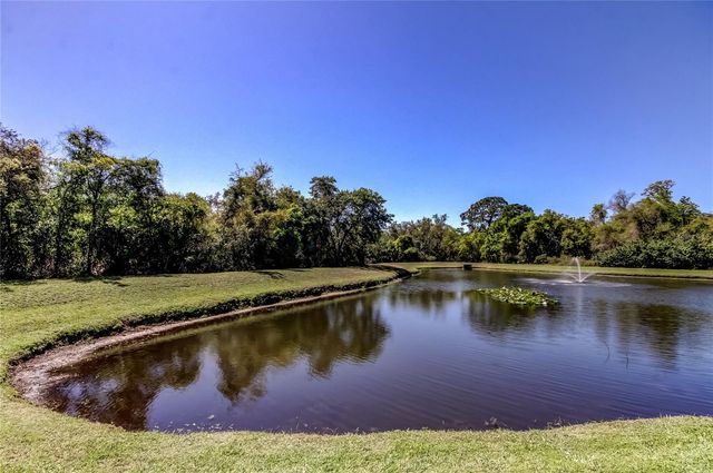 10002 OASIS PALM DRIVE, Tampa, FL 33615