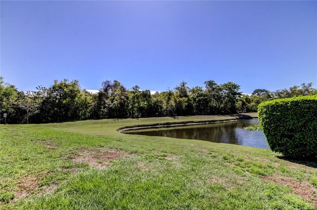 10002 OASIS PALM DRIVE, Tampa, FL 33615