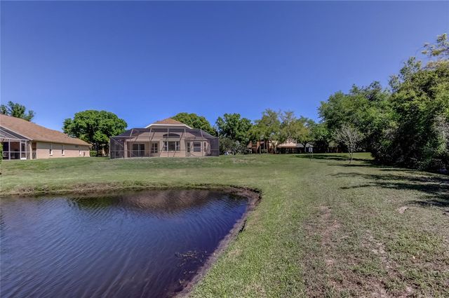 10002 OASIS PALM DRIVE, Tampa, FL 33615