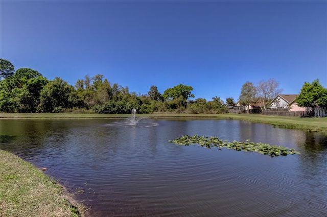 10002 OASIS PALM DRIVE, Tampa, FL 33615