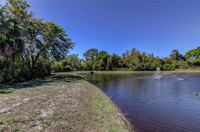 10002 OASIS PALM DRIVE, Tampa, FL 33615