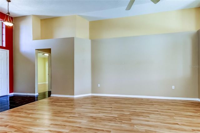 10002 OASIS PALM DRIVE, Tampa, FL 33615