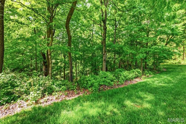 868 Wellesley Terrace Lane, Chesterfield, MO 63017