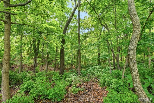 868 Wellesley Terrace Lane, Chesterfield, MO 63017