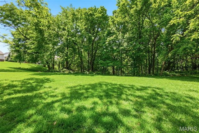 868 Wellesley Terrace Lane, Chesterfield, MO 63017