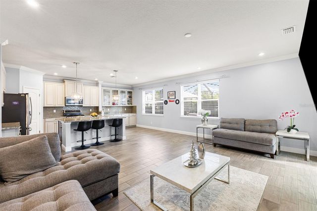 11702 LAKE LUCAYA DRIVE, Riverview, FL 33579