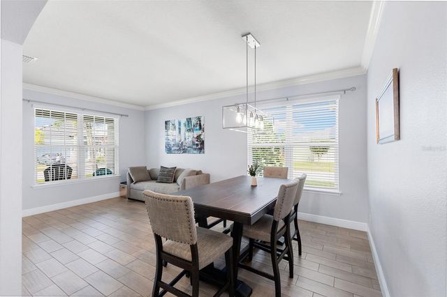 11702 LAKE LUCAYA DRIVE, Riverview, FL 33579