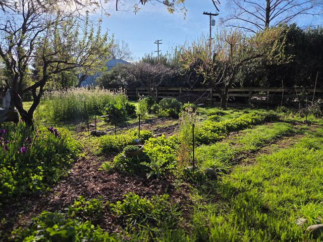 8198 Green Acres Lane, Redding, CA 96002