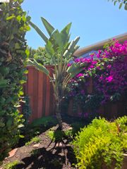 125 Paulette Way, Antioch, CA 94509