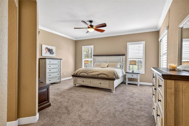 5905 CHERRY OAK DRIVE, Valrico, FL 33596