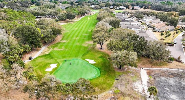 5905 CHERRY OAK DRIVE, Valrico, FL 33596