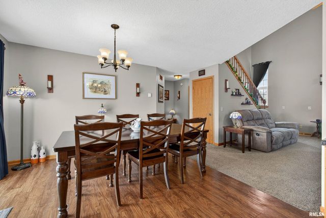 313 SULLIVAN Drive, Colona, IL 61241