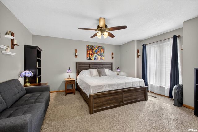 313 SULLIVAN Drive, Colona, IL 61241