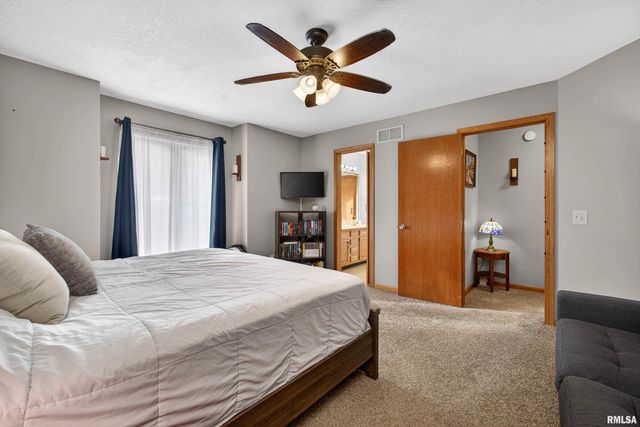 313 SULLIVAN Drive, Colona, IL 61241