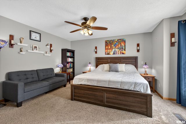 313 SULLIVAN Drive, Colona, IL 61241