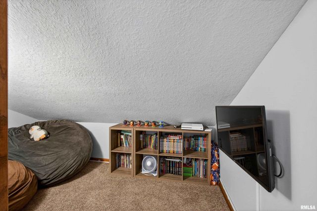 313 SULLIVAN Drive, Colona, IL 61241