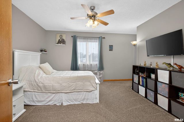 313 SULLIVAN Drive, Colona, IL 61241