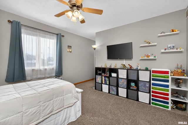 313 SULLIVAN Drive, Colona, IL 61241